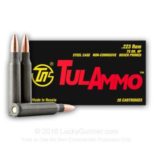 223 Rem 75 Grain Hollow Point 40 Rounds TULA Ammunition 223 Remington